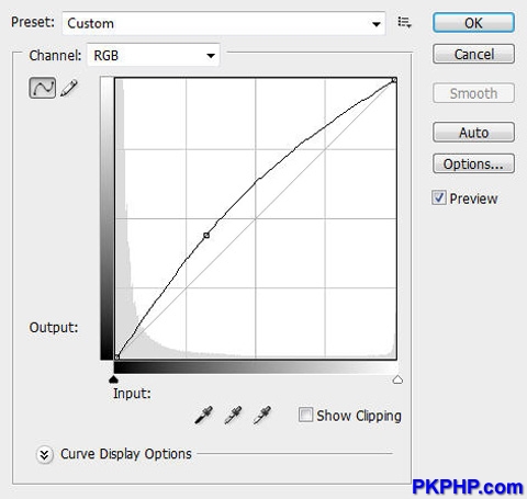 10-curves 10-curves