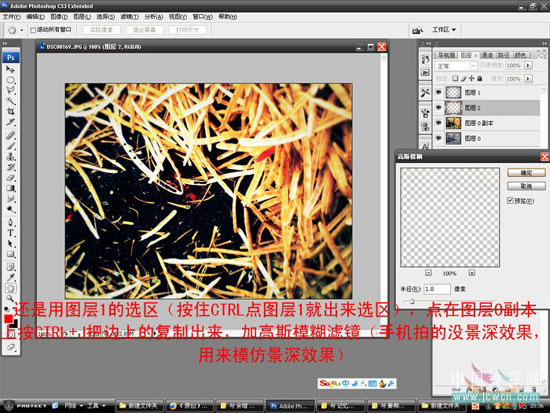 Photoshop调色教程：在那油菜丰收的时节