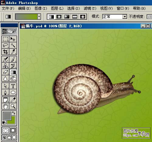 Photoshop鼠绘教程 鼠绘逼真的蜗牛