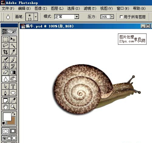 Photoshop鼠绘教程 鼠绘逼真的蜗牛