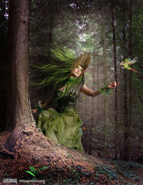 Photoshop合成森林中的绿色精灵