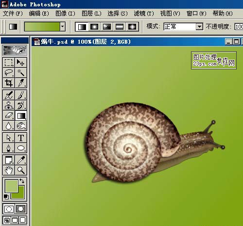 Photoshop鼠绘教程 鼠绘逼真的蜗牛